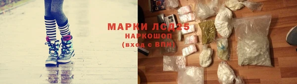 PSILOCYBIN Бронницы