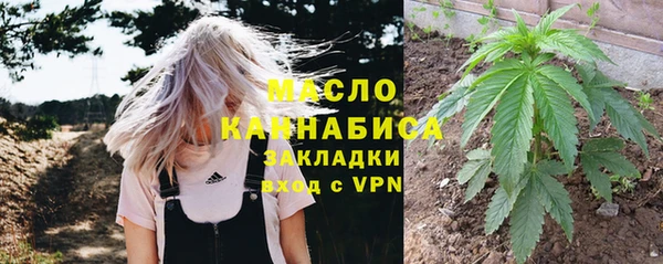 прущий лед Бородино